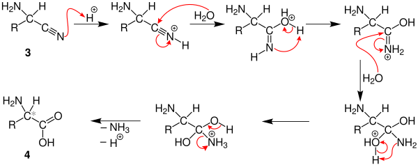 Mechanismus der Strecker-Synthese 2. Teil