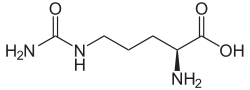 Strukturformel von Citrullin