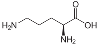 Strukturformel von L-Ornithin