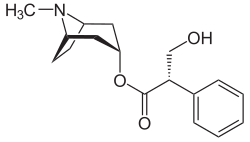Hyoscyamin