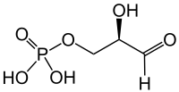 Struktur von Glycerinaldehyd-3-phosphat