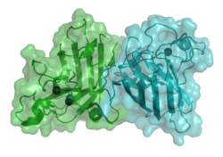 Superoxiddismutase