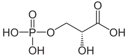 Strukturformel von 3-Phosphoglycerinsäure