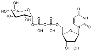 Strukturformel von UDP-Glucose