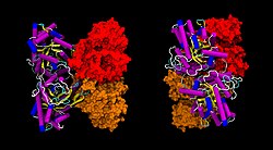 Aldolase